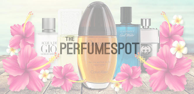 Case Study The Perfume Spot